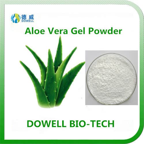 Nutritional Ingredients Aloe Vera Gel Powder